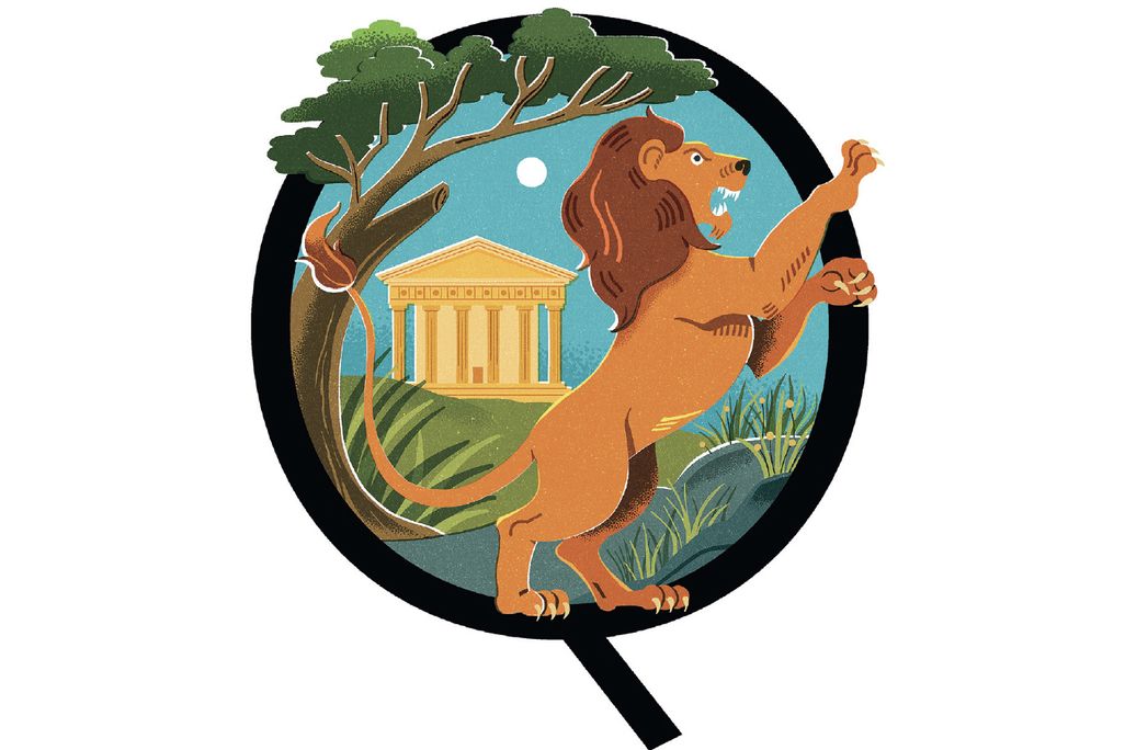 Lion illo