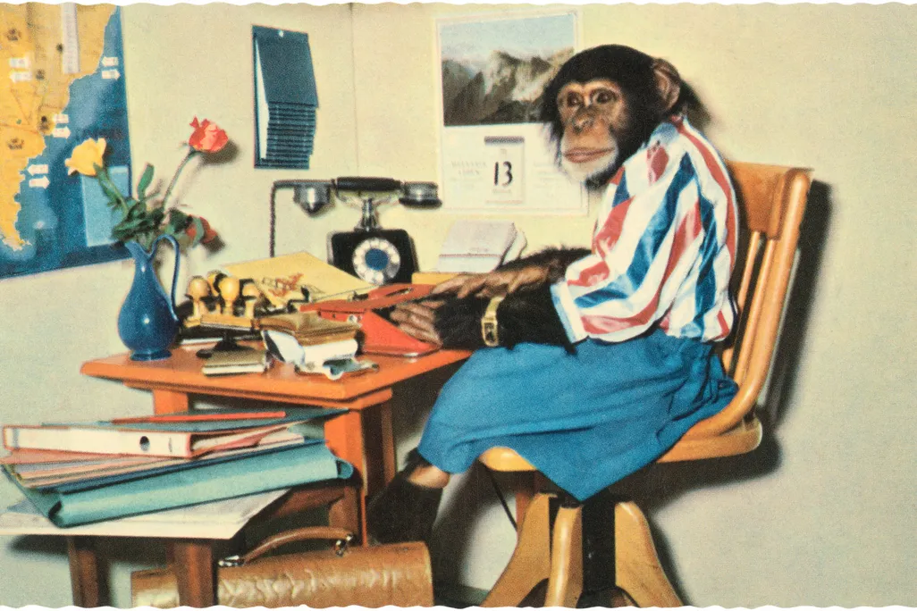 Chimpanzee wearing clothing sitting at a desk with books and a typewriter