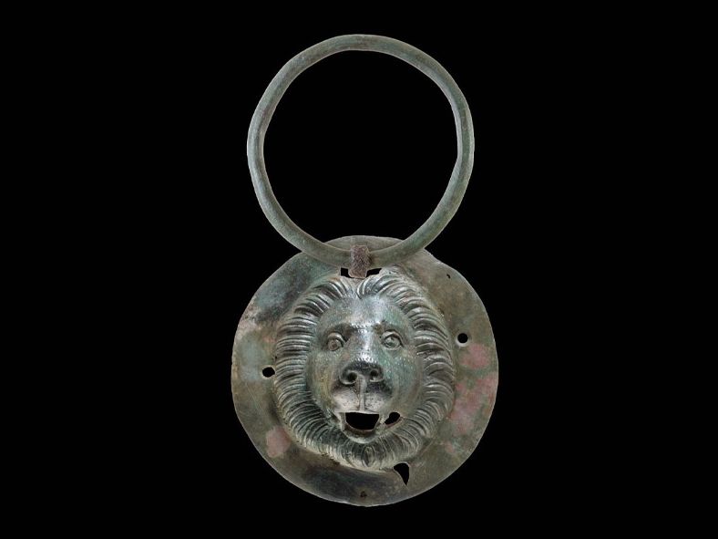 ringed head