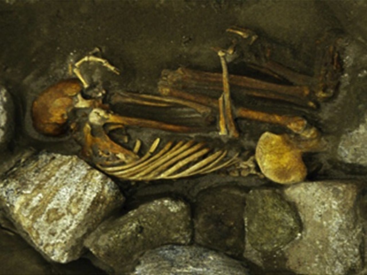 In Scotland, Two Mix-and-Match Mummies Contain Parts of Six Corpses