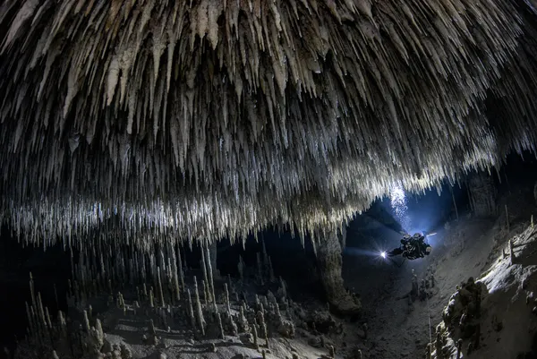 Cave diving - the beauty beneath our feet thumbnail