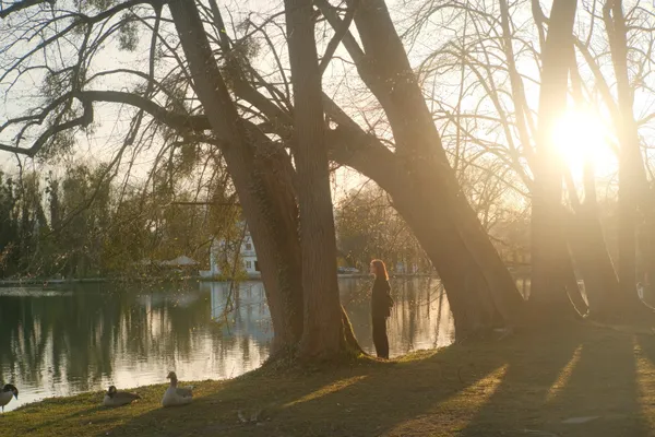 The Golden Hour thumbnail