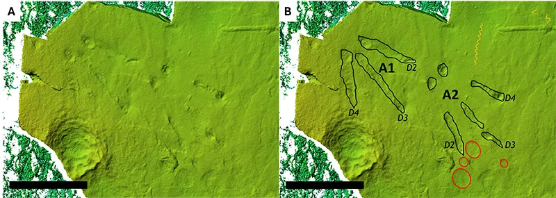 Greenish model of footprints