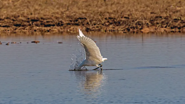 Immersive Lunch thumbnail