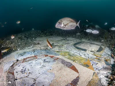 Divers Discover Mesmerizing Roman Mosaic Beneath the Sea image