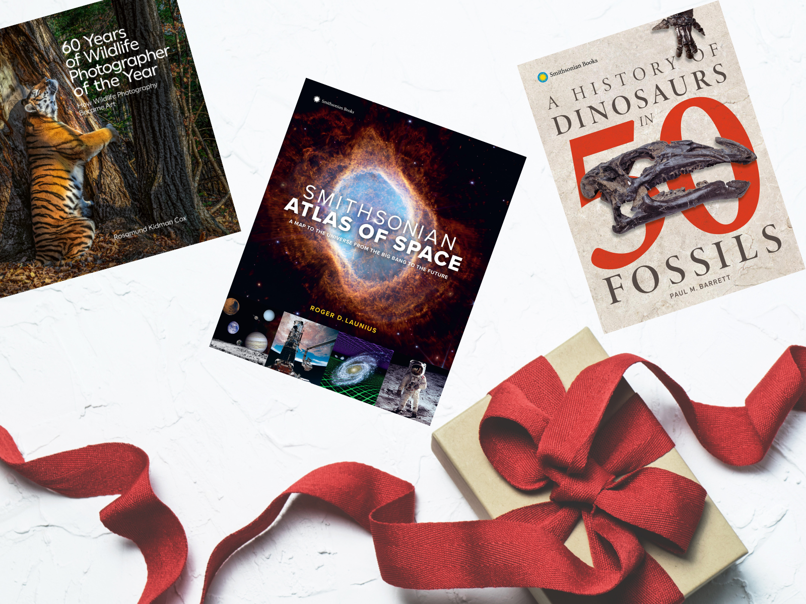 Ten Smithsonian Books for Every Reader on Your Holiday List ...