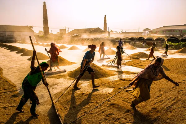 Strength in the Sunlight thumbnail