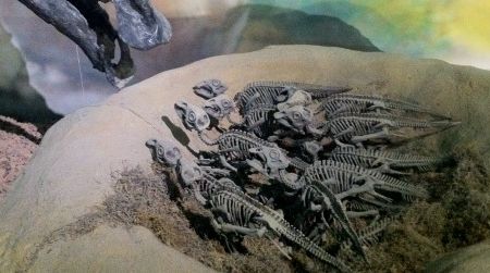 Baby Maiasaura and a parent at a mount in the Wyoming Dinosaur Center. Baby Maiasaura bones and egg fragments were the first dinosaur fossils in space.