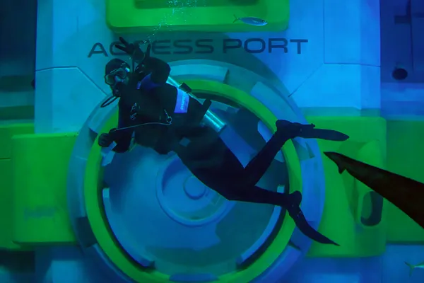 Echoes Beneath the Surface thumbnail