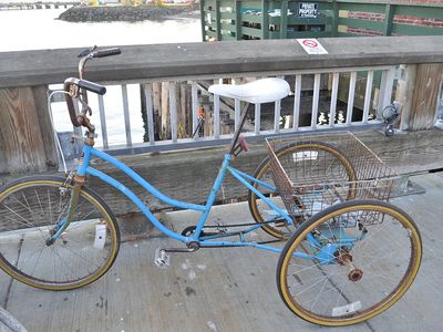 Adult tricycle