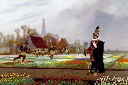 The Tulip Folly