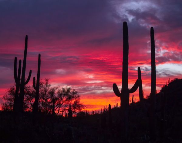 A Sunset over the desert thumbnail