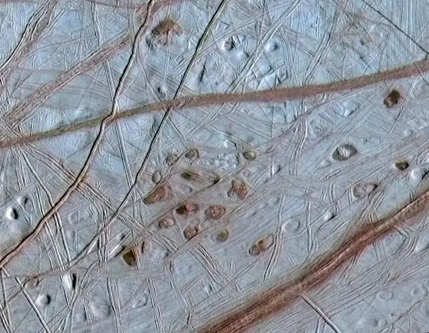 Lenticulae
