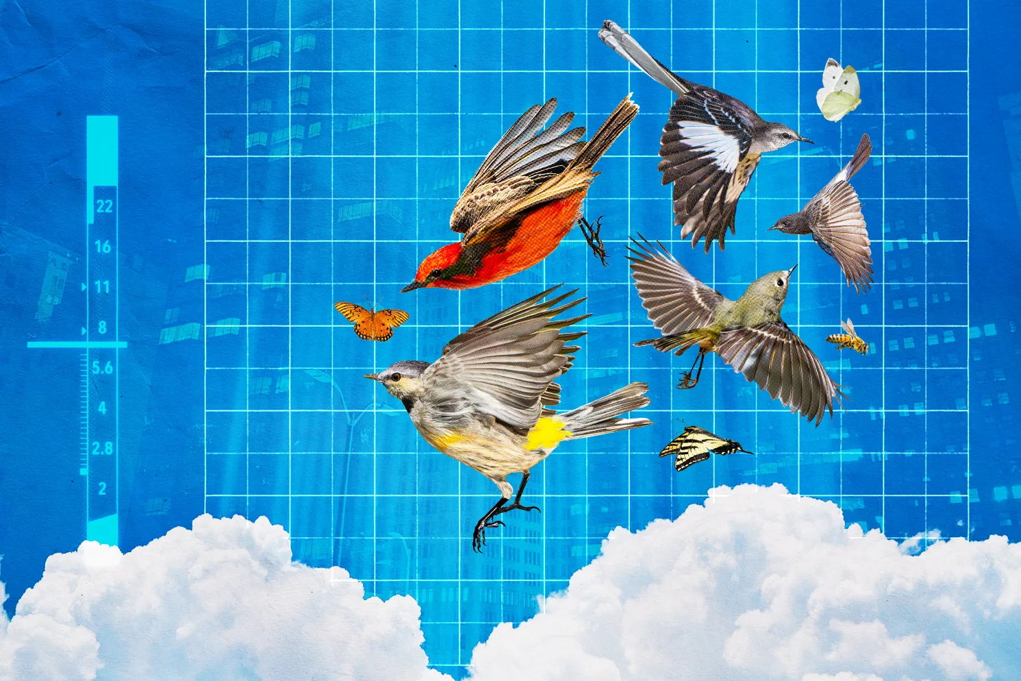 Birds, Bats and Bugs: The Teeming World Above Our Heads - The BB Report