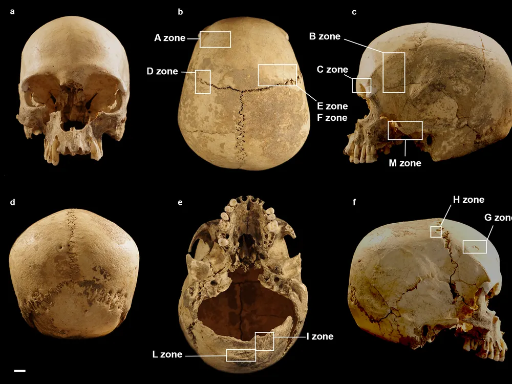 skull found in Italian cave