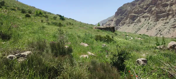 green house thumbnail