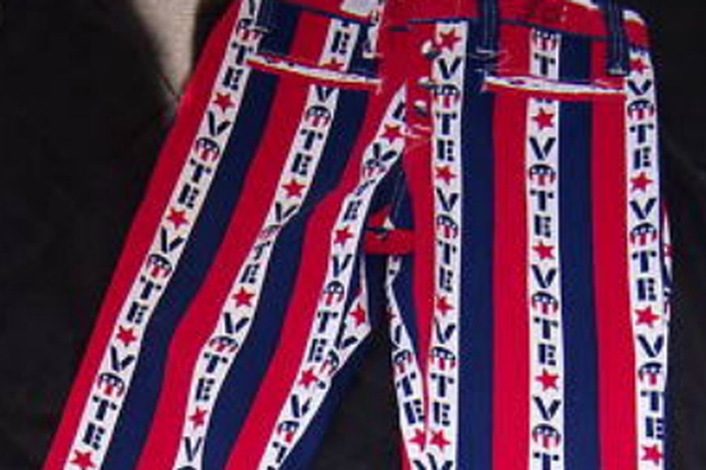 20121101020014votepants_470.jpg