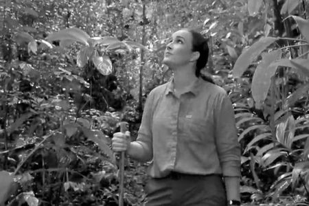 Hillary Hughes, Panamanian actress, visits the Smithsonian Tropical Research Institute's Agua Salud Project during the filming of videos in Spanish and English to share hope for the success of tropical forest reforestation informed by the largest experiment of its kind in the tropics.