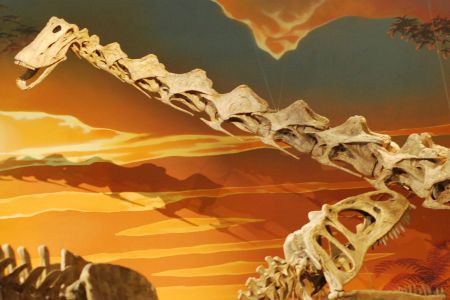 A huge Allosaurus threatens a super-sized Diplodocus. Did such giant dinosaurs fart? We don't know.