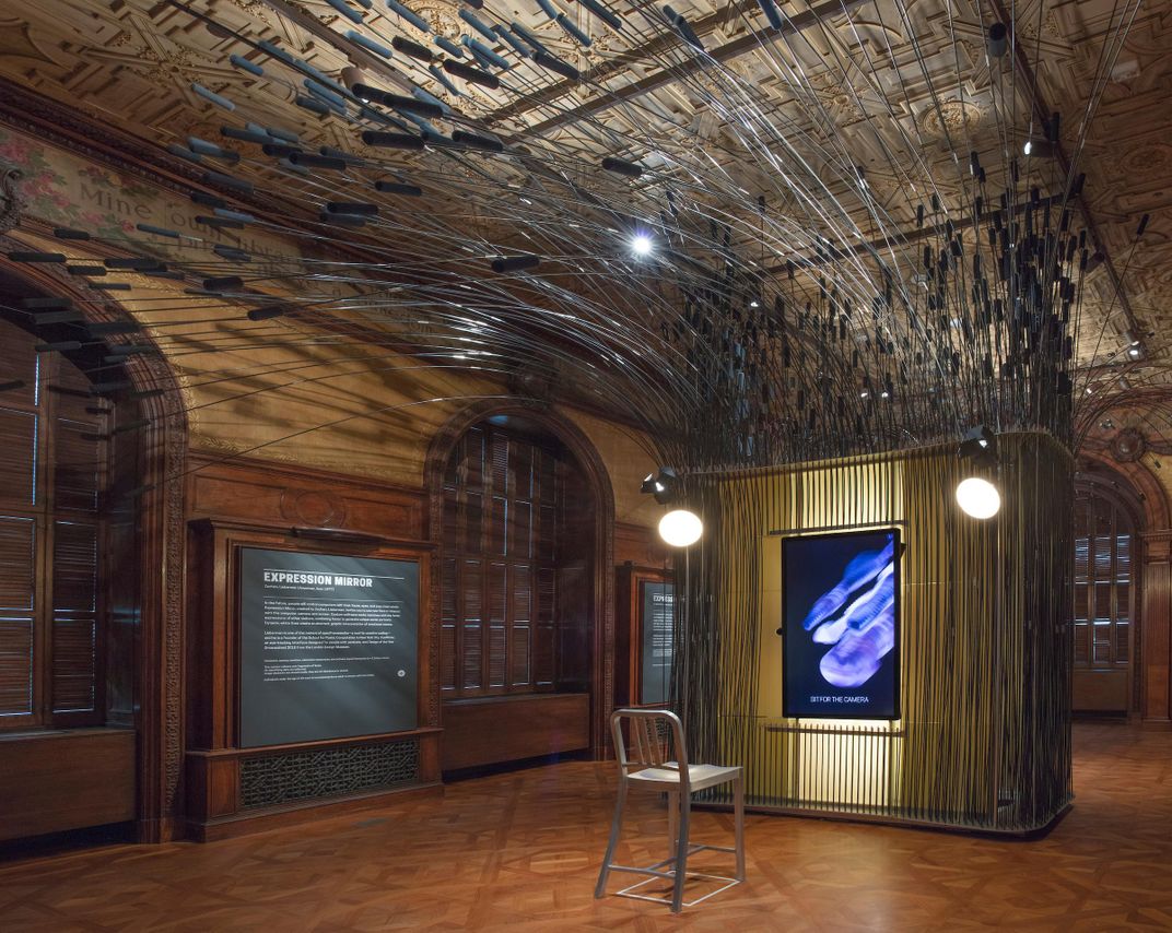 Installation view metal cat tails on ceiling