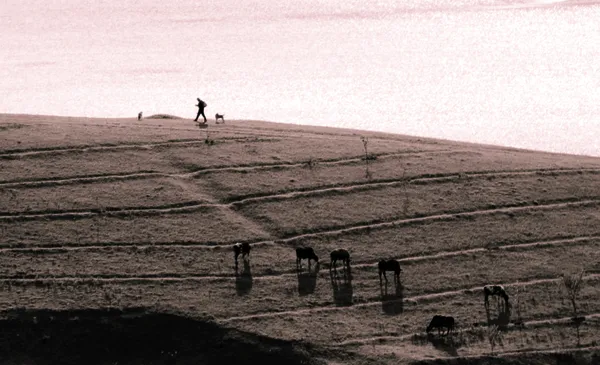 Shadow of the Valley thumbnail