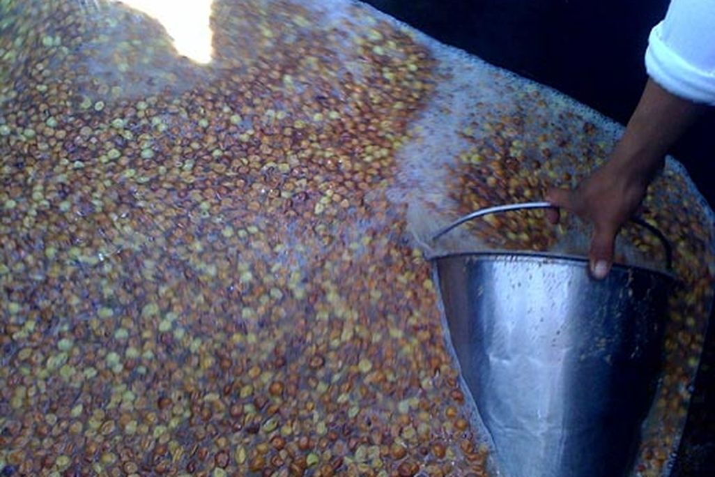 20110520090157pressing-of-ramato-grapes-wine.jpg