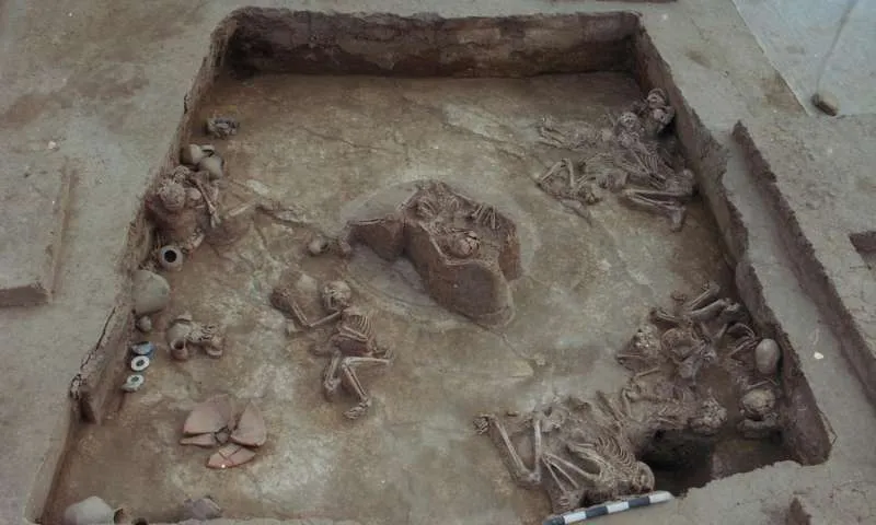 Flood Skeletons