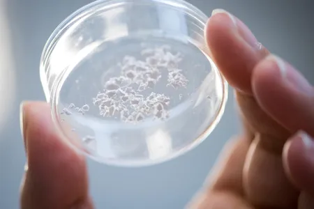 Ensilicated proteins