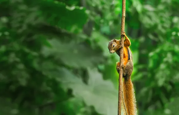 Up or down？ thumbnail