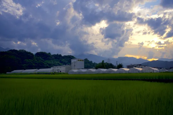 Mukawa Rice Center facility, thumbnail