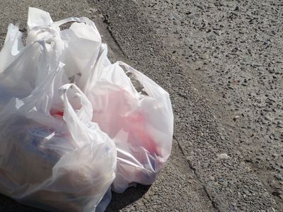 New York is the second state to pass a ban on single use plastic bags. California was the first.