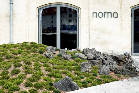 Noma, one of the best restaurants in the world, and a location some chefs would travel any distance to visit.