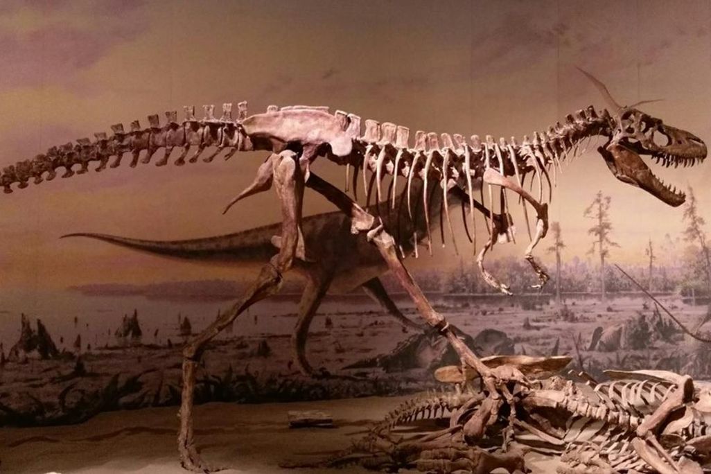 Teenage T. rex