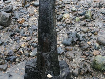 Erosion of a Bronze Age Post in the Thames