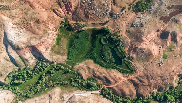 green horse thumbnail