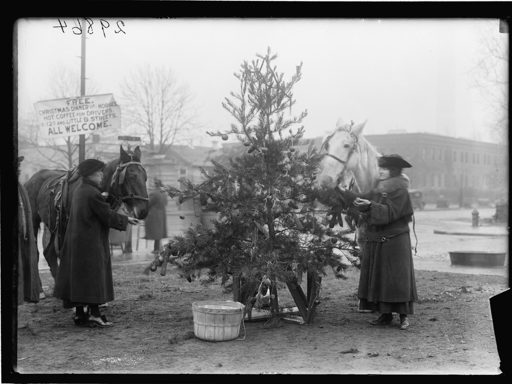 Christmas tree for horses