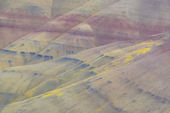 Geology and Flowers thumbnail