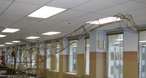 Roger Cutler's wire Apatosaurus
