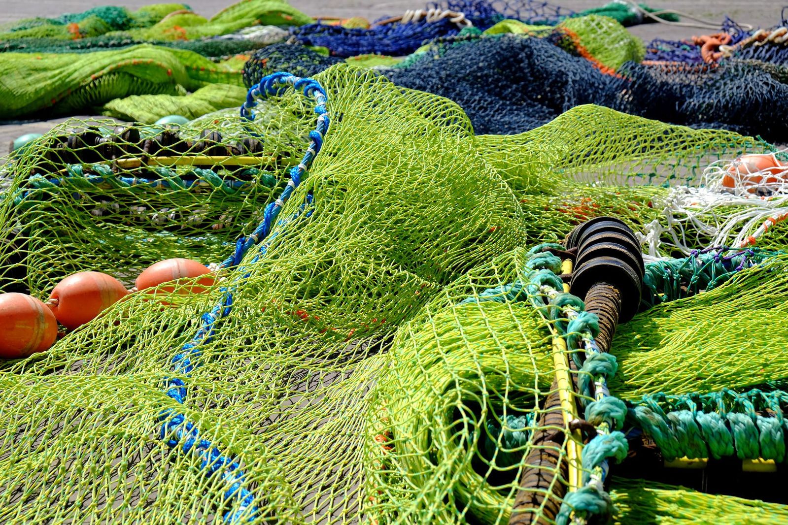 Global Fishing Fleets Waste Ten Percent of Catch, Smart News