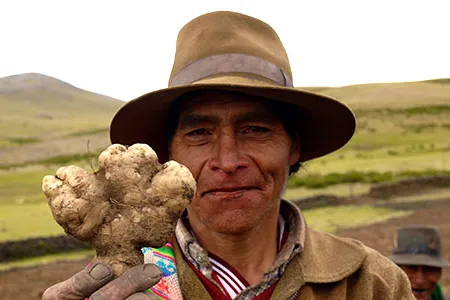 Inspired by recent archaeological research, the people in the Cuzco region of Peru are rebuilding terraces and irrigation systems and reclaiming traditional crops and methods of planting.