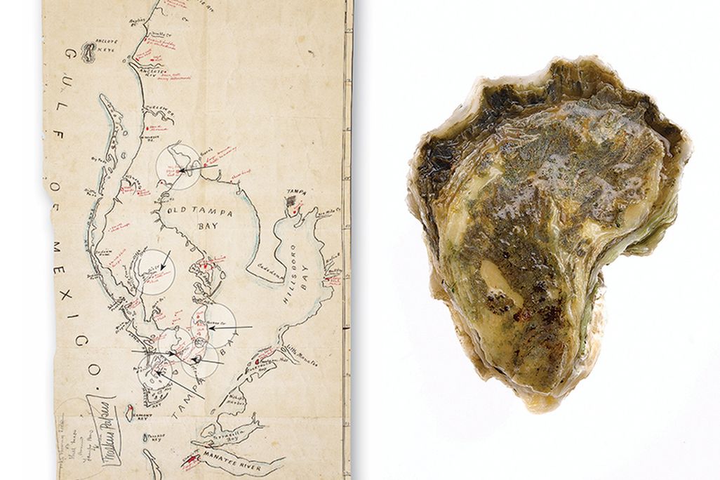 left, map of Tampa region, and right, a shard of pottery
