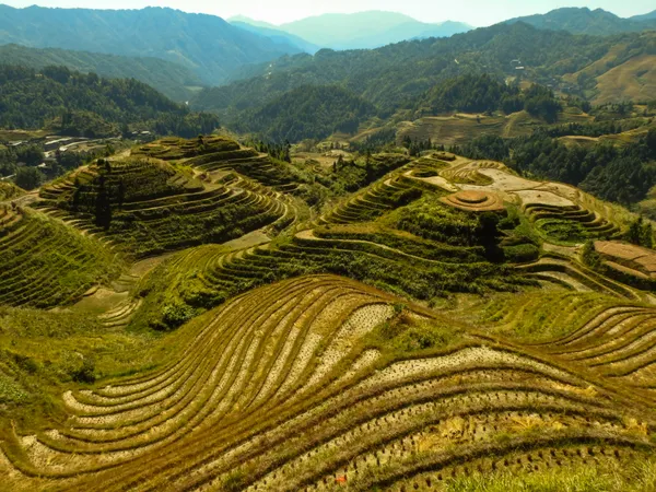 Beautiful terraces 2 thumbnail