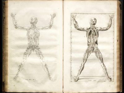 Tabulae Anatomicae Clarissimi Viri..., Bartolomeo Eustachi, 1722