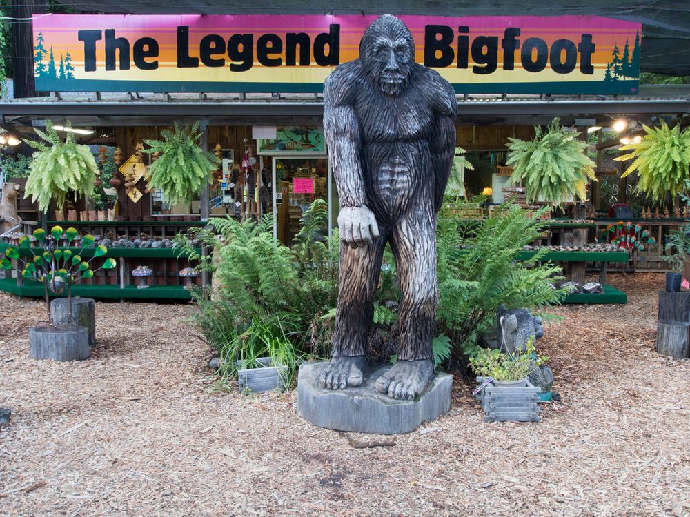 Bigfoot