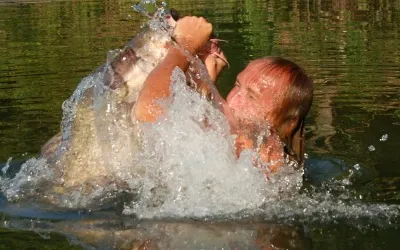 David Baggett, famed among noodlers, explodes from the water with a giant catfish in his hands.