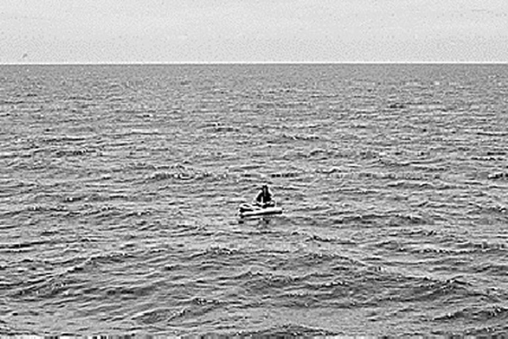 survival-631-feb08.jpg
