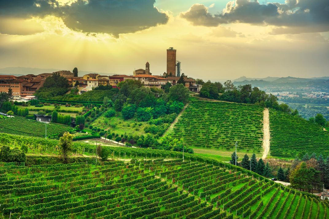 Panorama of Langhe with village and vineyard, Barbaresco