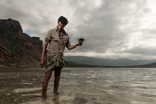 Urchin fishing thumbnail