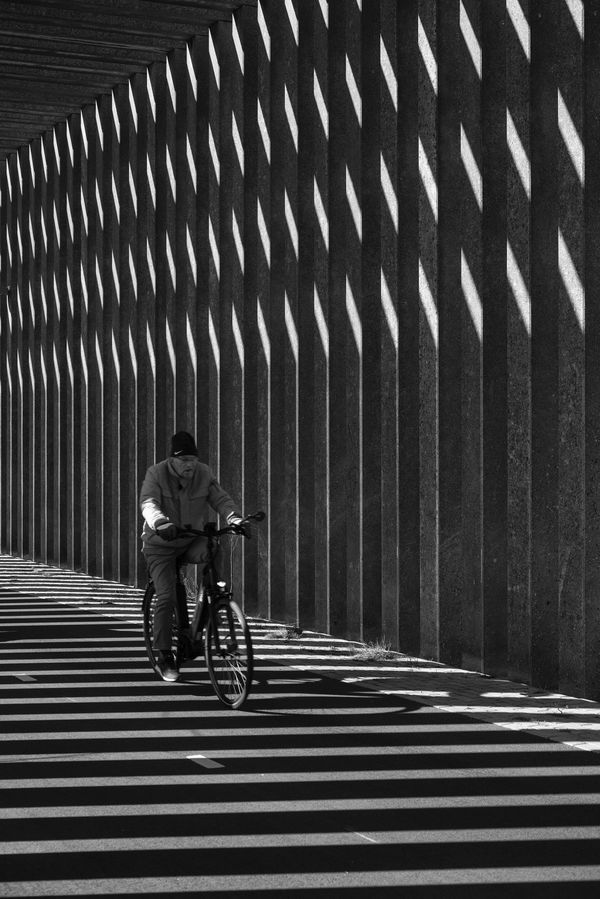 Cycling trough the shadows thumbnail