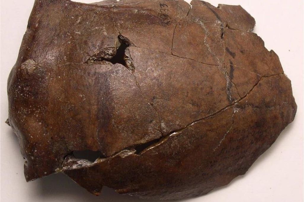 Aitape Skull